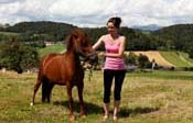 Ponys auf dem Pletlhof im Bayerischen Wald